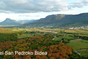 Tardeo-desarrollo humano merienda Navarra