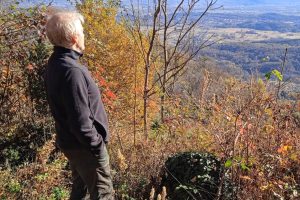 Pausa Reflexión 18012026